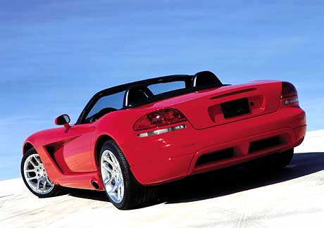 Viper von hinten